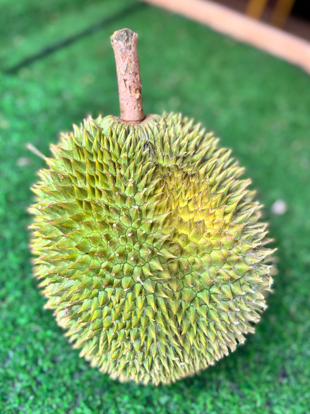 Durian Sultan