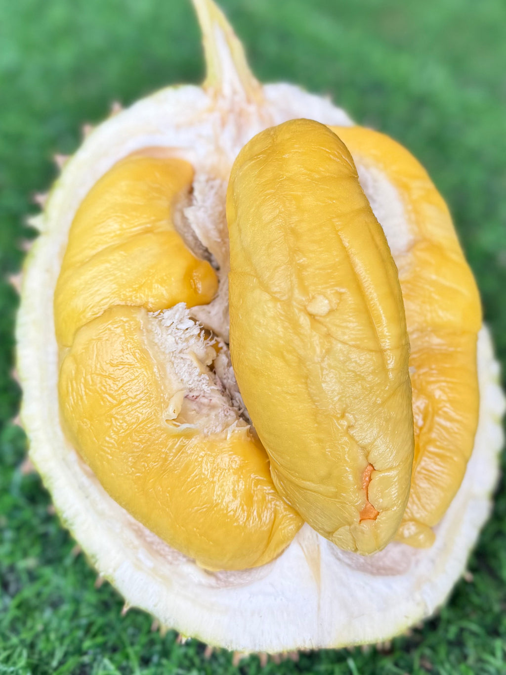 Durian Musang King (Super Premium Grade)