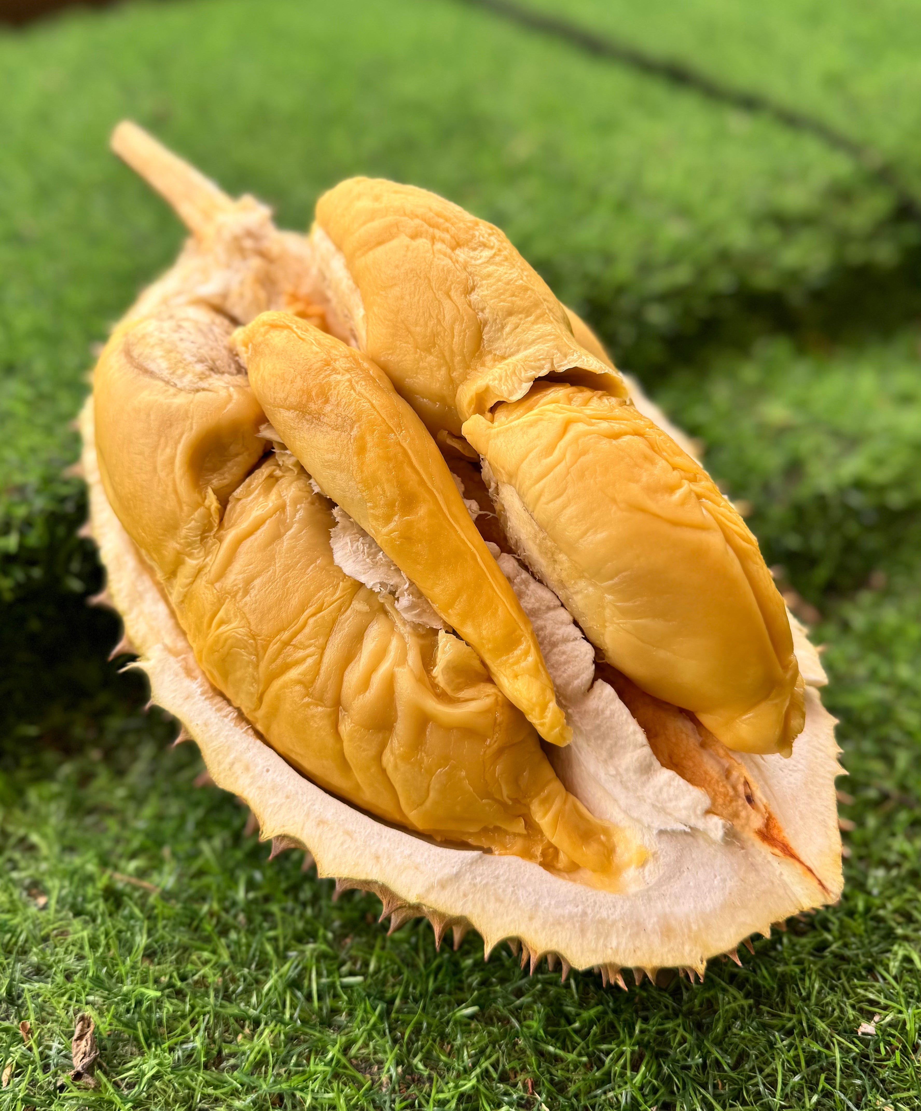 Durian Teka